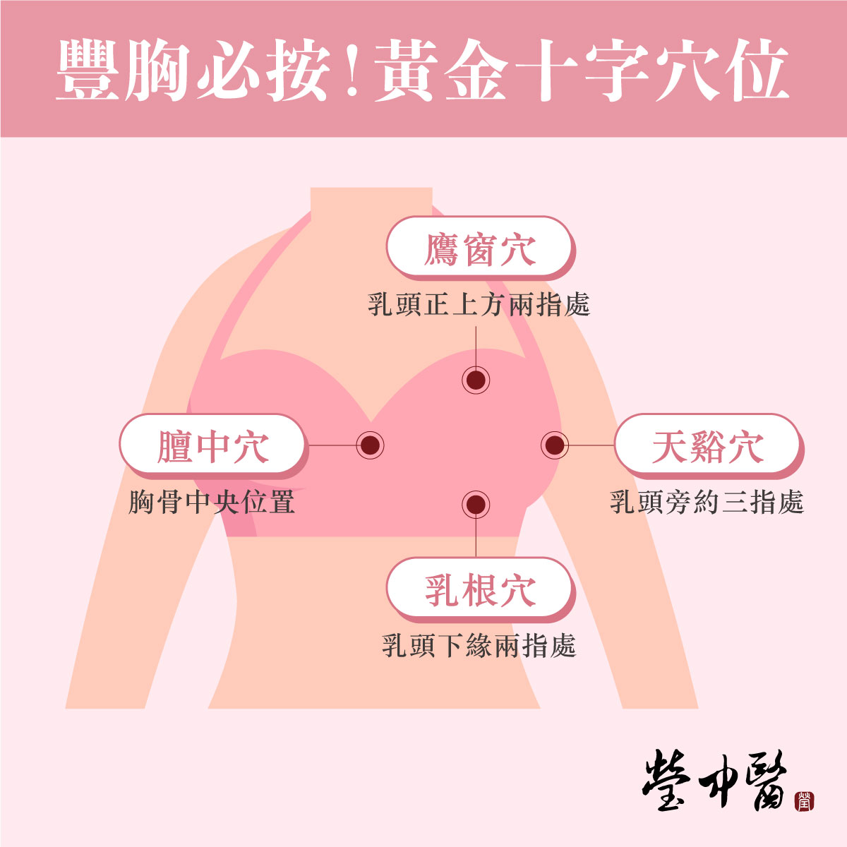 中醫豐胸必按黃金十字穴位 鷹窗穴：位於乳頭正上方兩指處，促進乳腺周圍氣血循環，提升豐胸效果。 乳根穴：位於乳頭下緣，可改善乳腺阻塞，提升胸部彈性。 天谿穴：位於兩乳中間，有助於疏通乳房經脈，促進乳房豐滿。 膻中穴：位於胸骨正中，有助於調節氣血，促進乳腺增生。