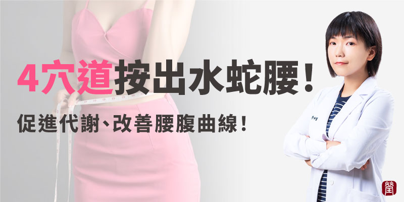 養出水蛇腰800
