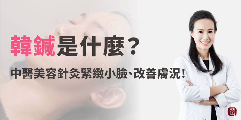 韓鍼是什麼800 韓鍼是什麼800